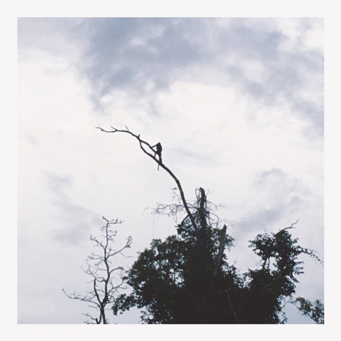 第一次出国去哪里玩马来西亚,一月去沙巴旅游