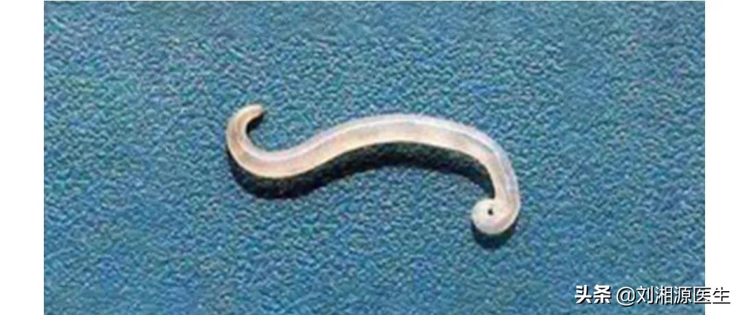 免疫不良妊娠怎么处理,免疫治疗不良妊娠的方法