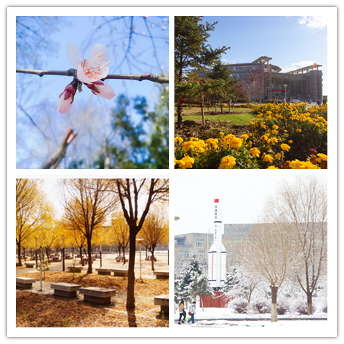 第三批国防学校特色专业名单,东三省军工类专业院校