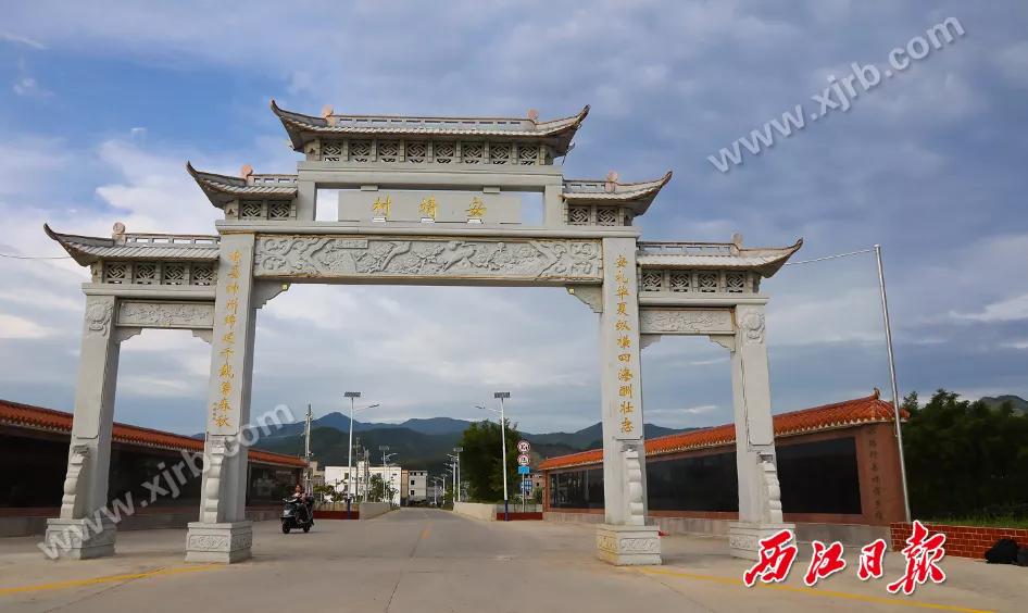 年收入翻了8倍多！肇庆这条村是怎么做到的？