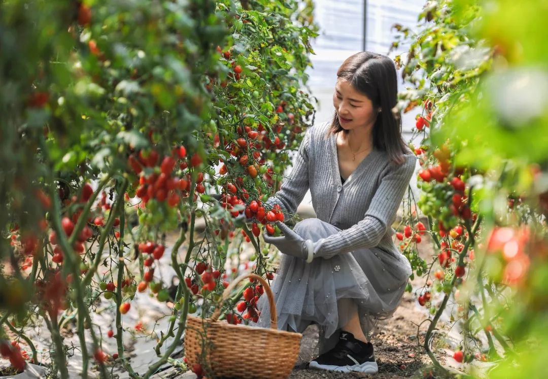 祥和庄园一日游,享受美食和田园风光的完美之旅