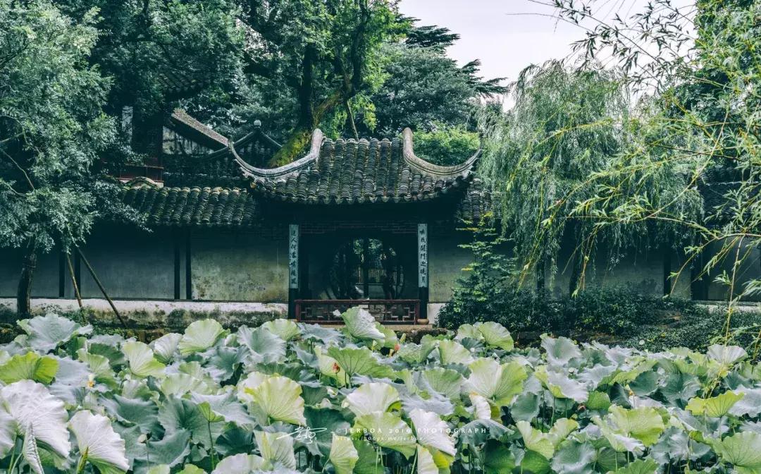 高铁高级软卧有多舒服,高铁软卧怎么睡觉