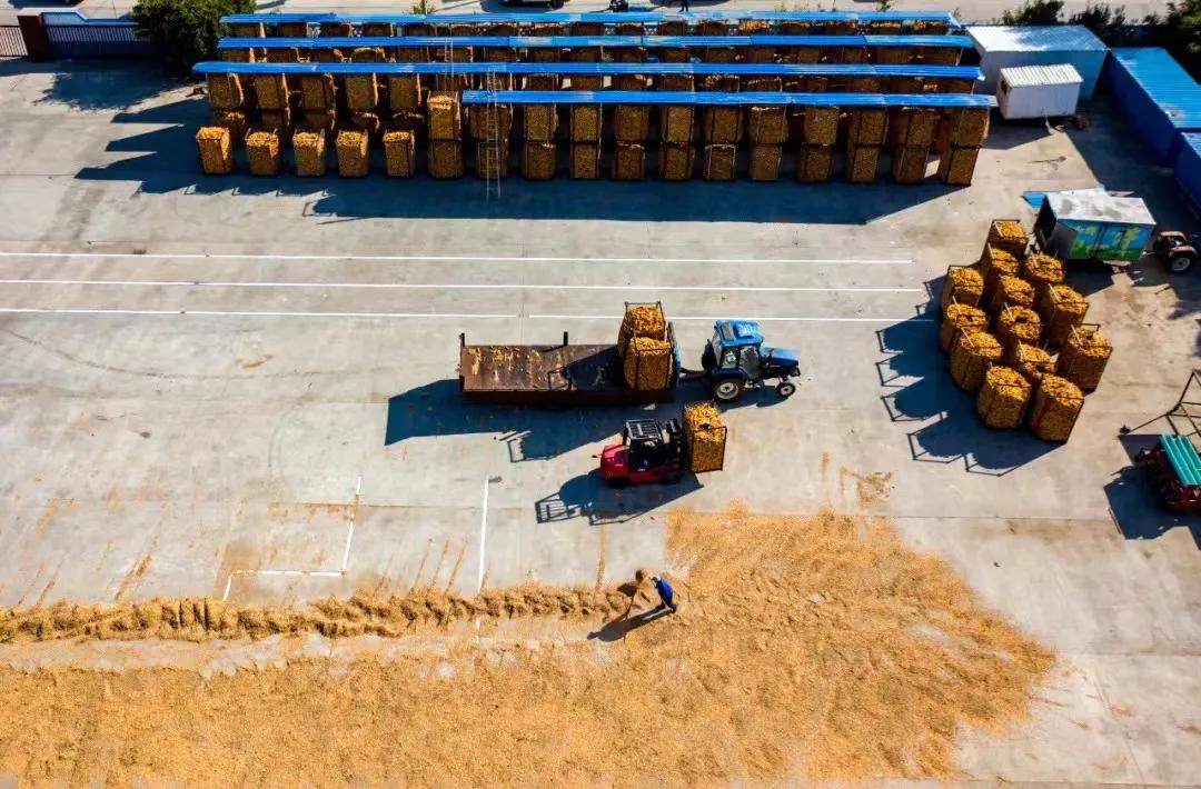 早安,太原!(2021.11.05)太原市通告一例新冠病毒核酸阳性检出者在并行程轨迹;山西交警发布安全出行提示