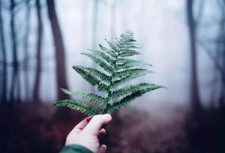 杜甫的诗名句经典语录,杜甫感伤世态炎凉的诗