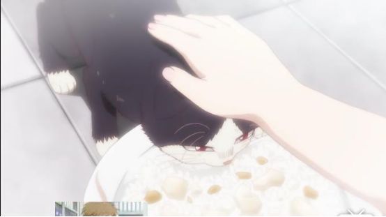 最萌新番,豆瓣8.8最佳纪录片女主