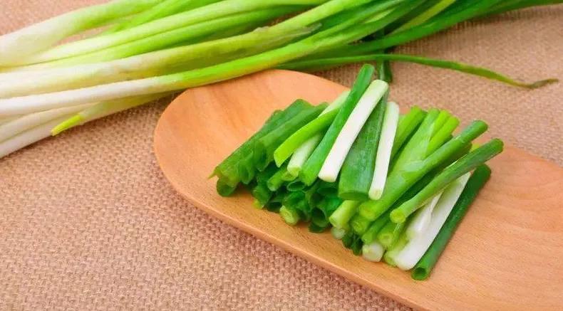 吉娃娃被气坏的视频,吉娃娃被气坏视频