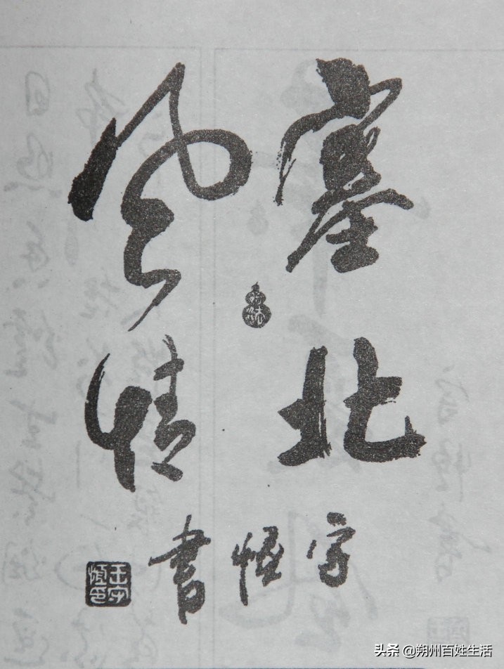 山西省朔州市书法,书法热度越来越高