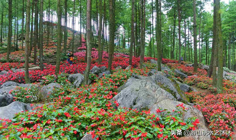 重庆小众景点旅游推荐,重庆南山小众打卡地