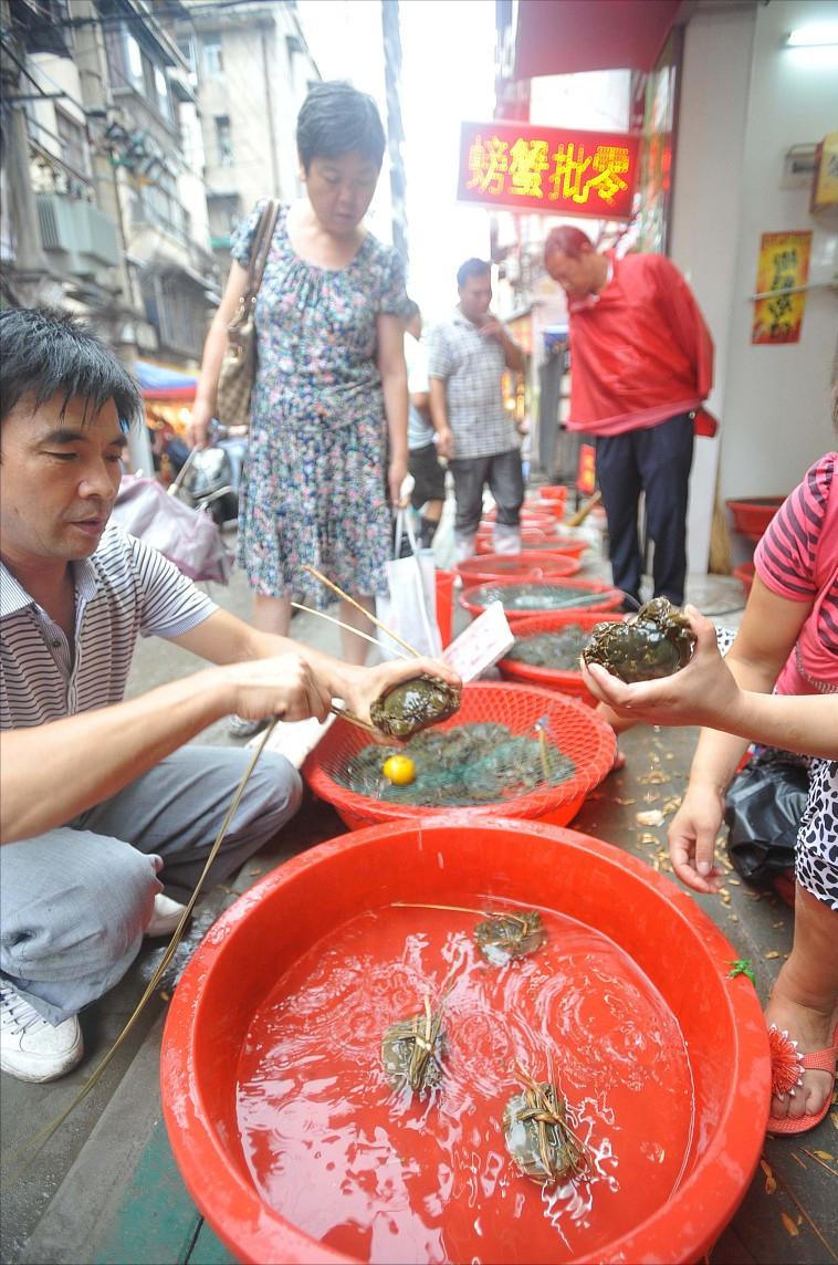 螃蟹公蟹怎么挑选才是正确的,螃蟹怎么选择公蟹还是母蟹好