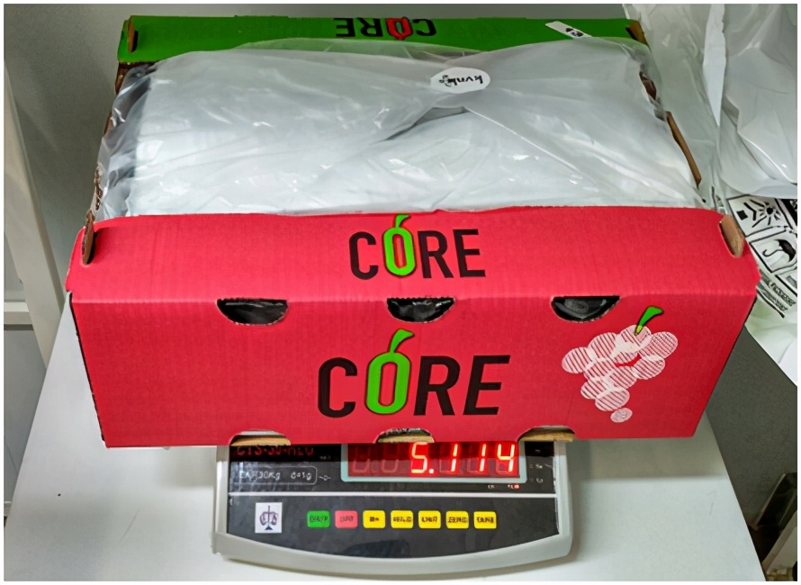 进口提子哪些品种 (进口提子品种及图解)