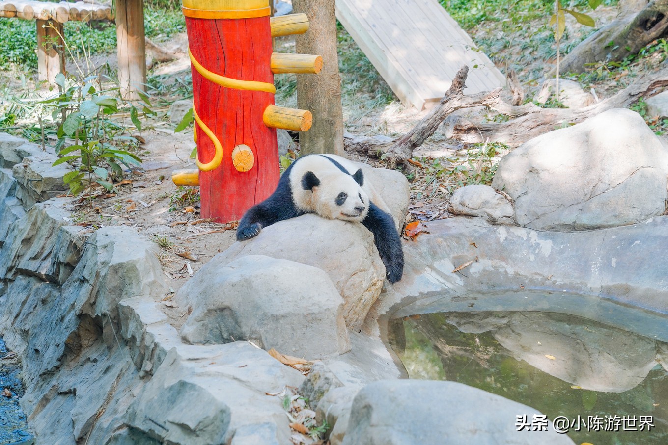 寒假广州长隆三天两夜亲子游攻略,带孩子广州长隆旅游攻略