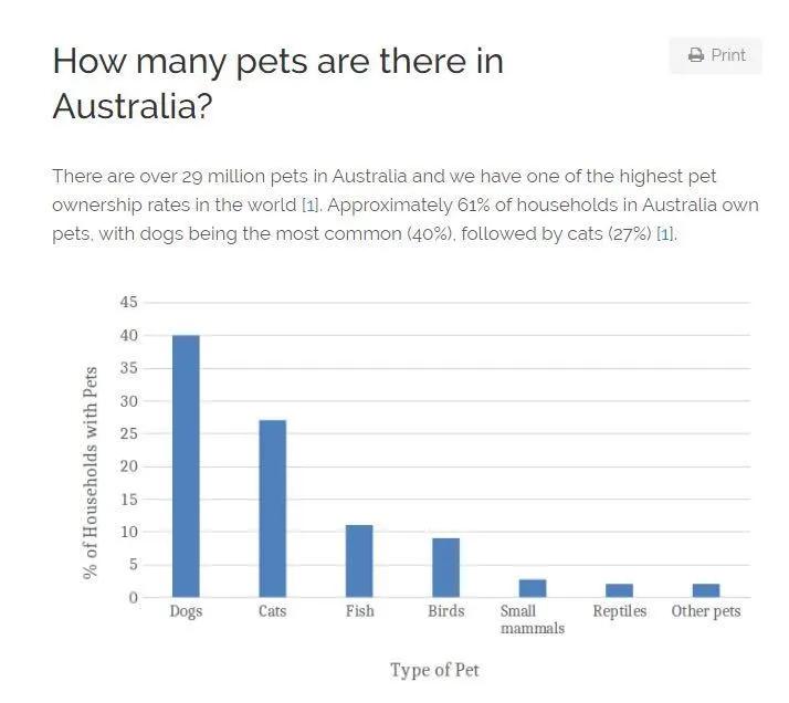 怎么学宠物美容护理,0基础怎么学习宠物美容