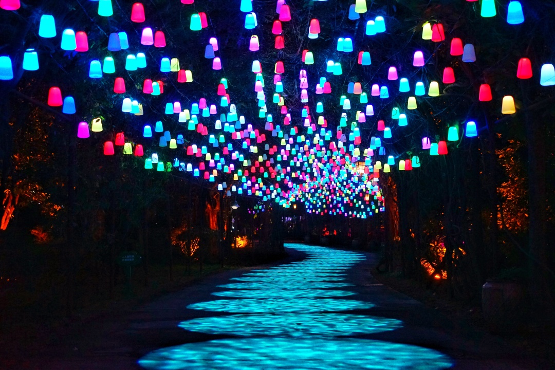 森波拉森林景区,广东清远森波拉旅游度假区