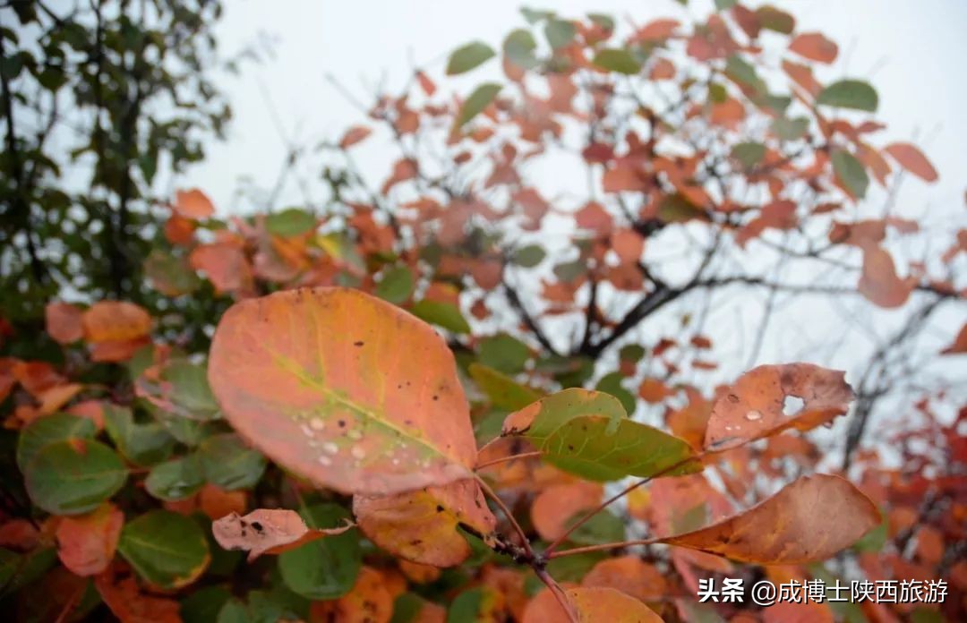 秦岭终南山旅游推荐,最近秦岭终南山景区