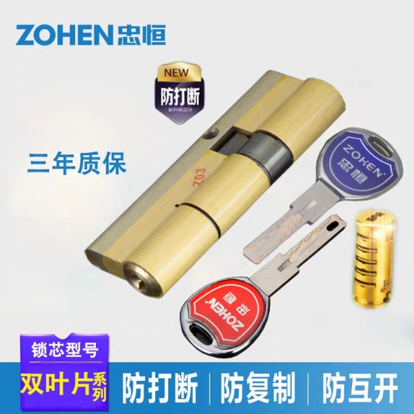 应该如何选购防盗锁芯品牌,防盗门锁芯哪个品牌的好视频讲解