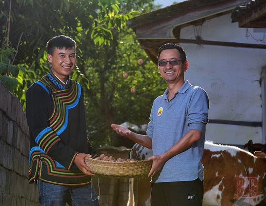 七一特辑一枚党徽,七一特辑守初心担使命