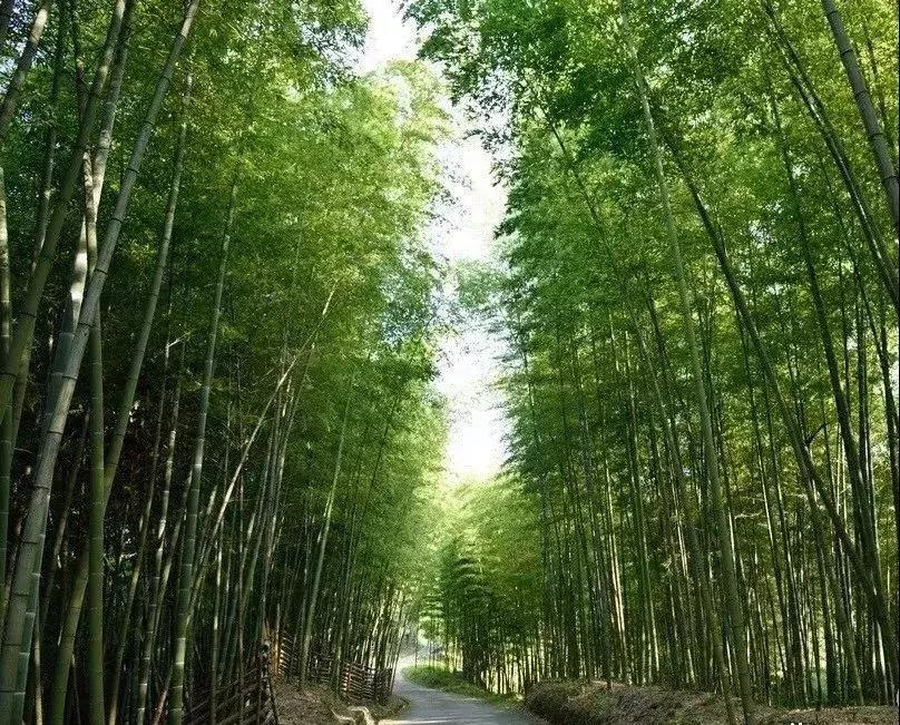 热炸!四川这些小众避暑佳境,光看图就能凉快10℃