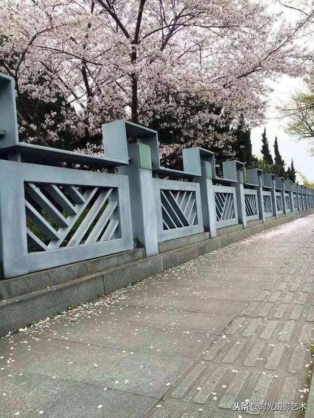 手机摄影人像创意作品教程,手机拍摄光影的艺术教程