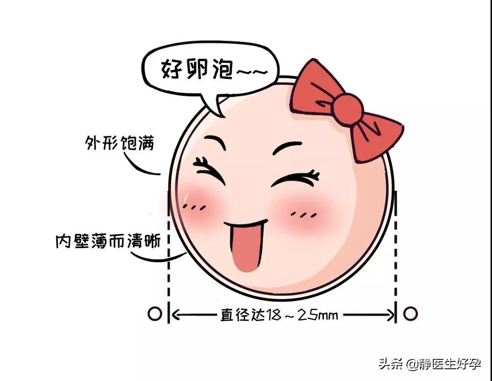 静医生备孕：只需一招，就能帮你把卵泡养的又大又好！