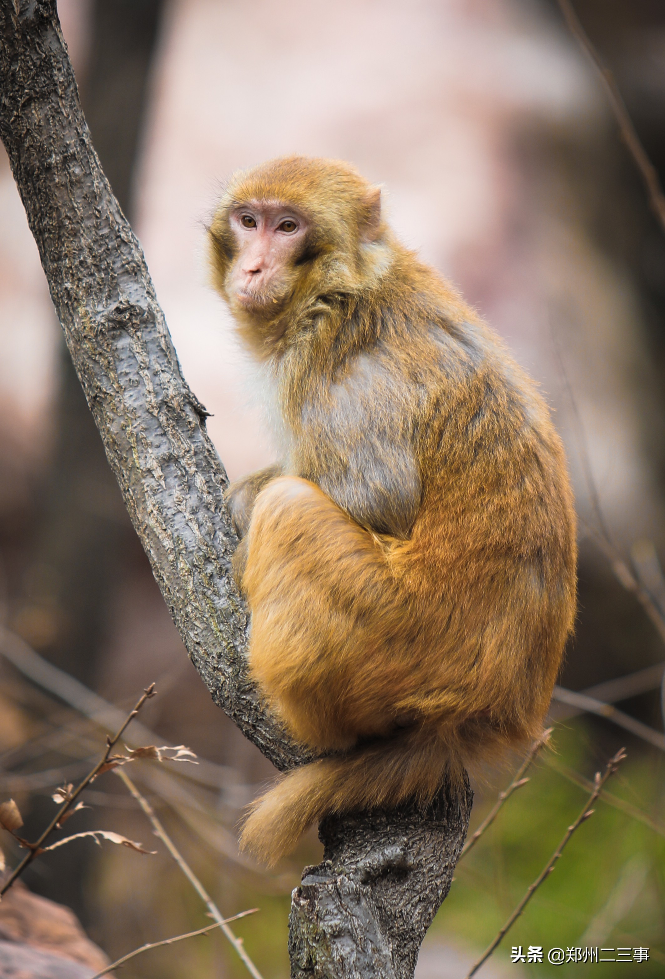郑州惠济区免费遛娃好去处植物园,郑州遛娃踏青好去处