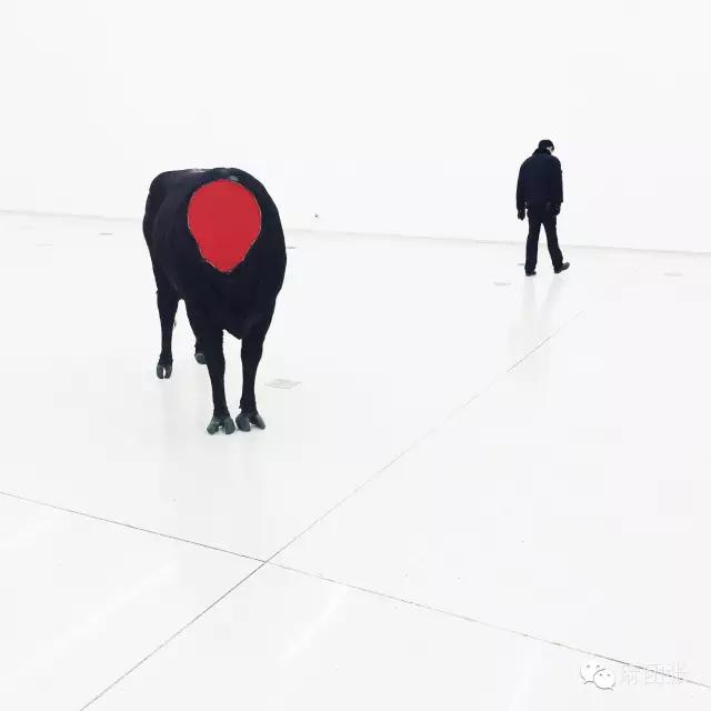 给照片修图的最好的软件,好用修图