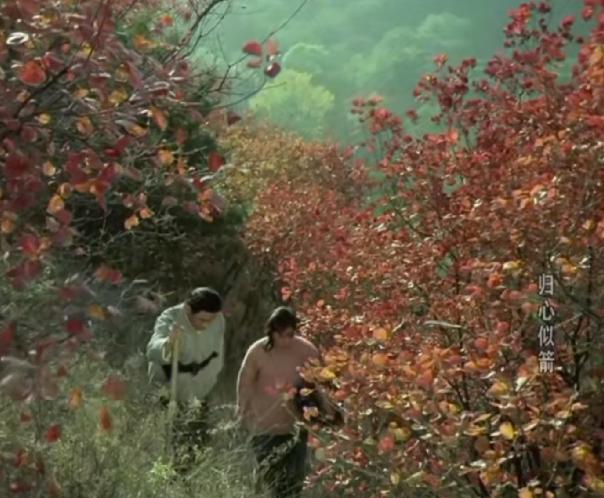 斯琴高娃主演的电影归心如箭,归心似箭电影斯琴高娃