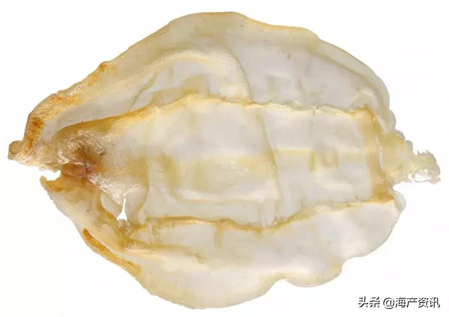 怎么区别花胶公母有教程,花胶公母区别方法图解