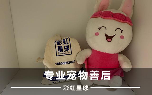 彩虹星球宠物去世了为什么要火化,彩虹星球关于宠物火化的知识科普