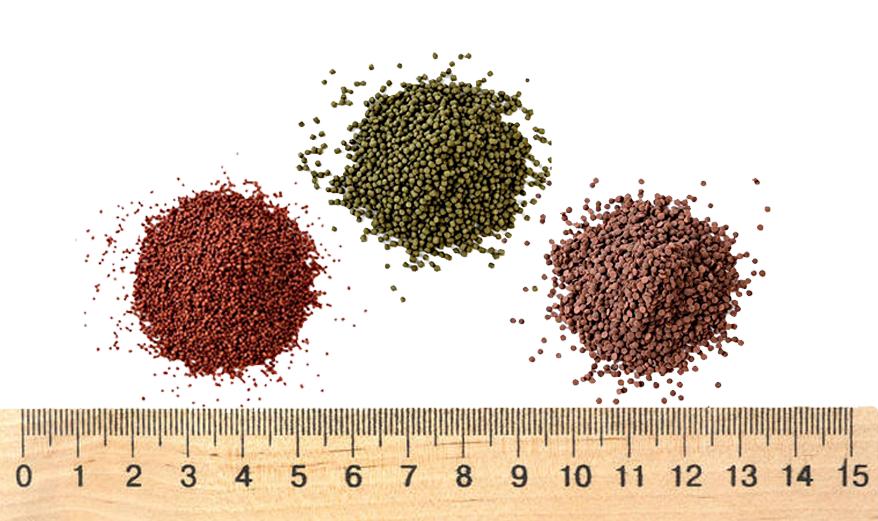 泰国斗鱼繁殖需要喂食吗,泰国斗鱼鱼苗多久可以开口喂食