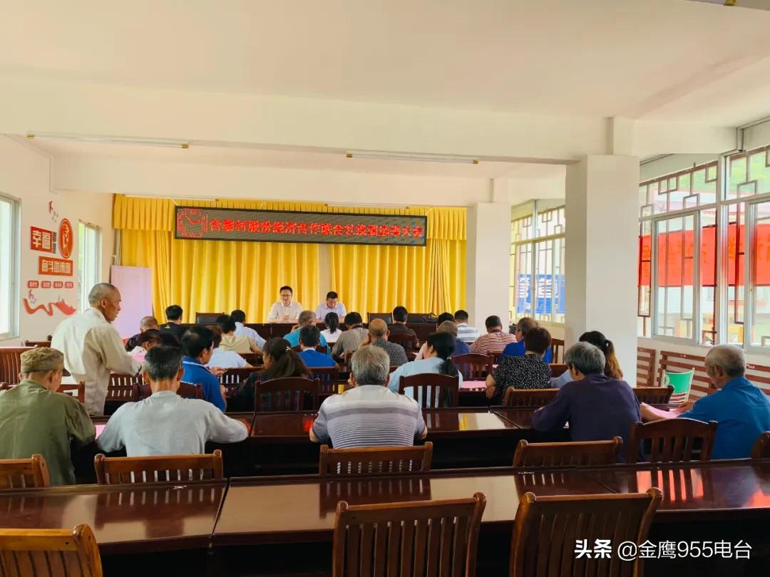 我和我的党支部简介,我和我的支部微视频营子村