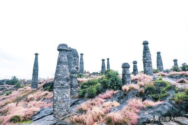 重庆这片花海你还没有来打开，那你就输了