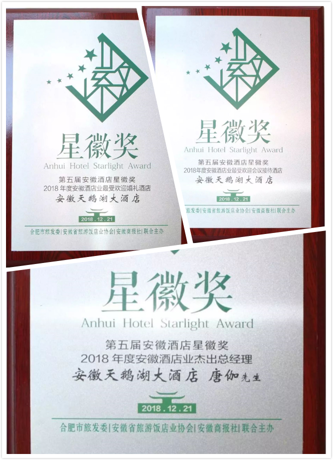 安徽天鹅湖大酒店公司,安徽天鹅湖大酒店年收入