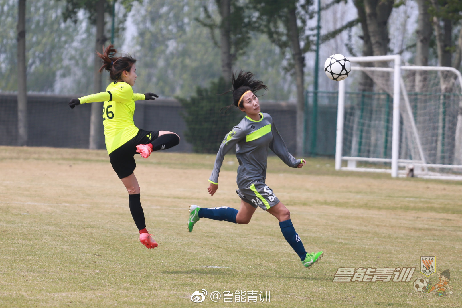 大连女足锦标赛杀入决赛报道,大连女足杀入锦标赛决赛报道