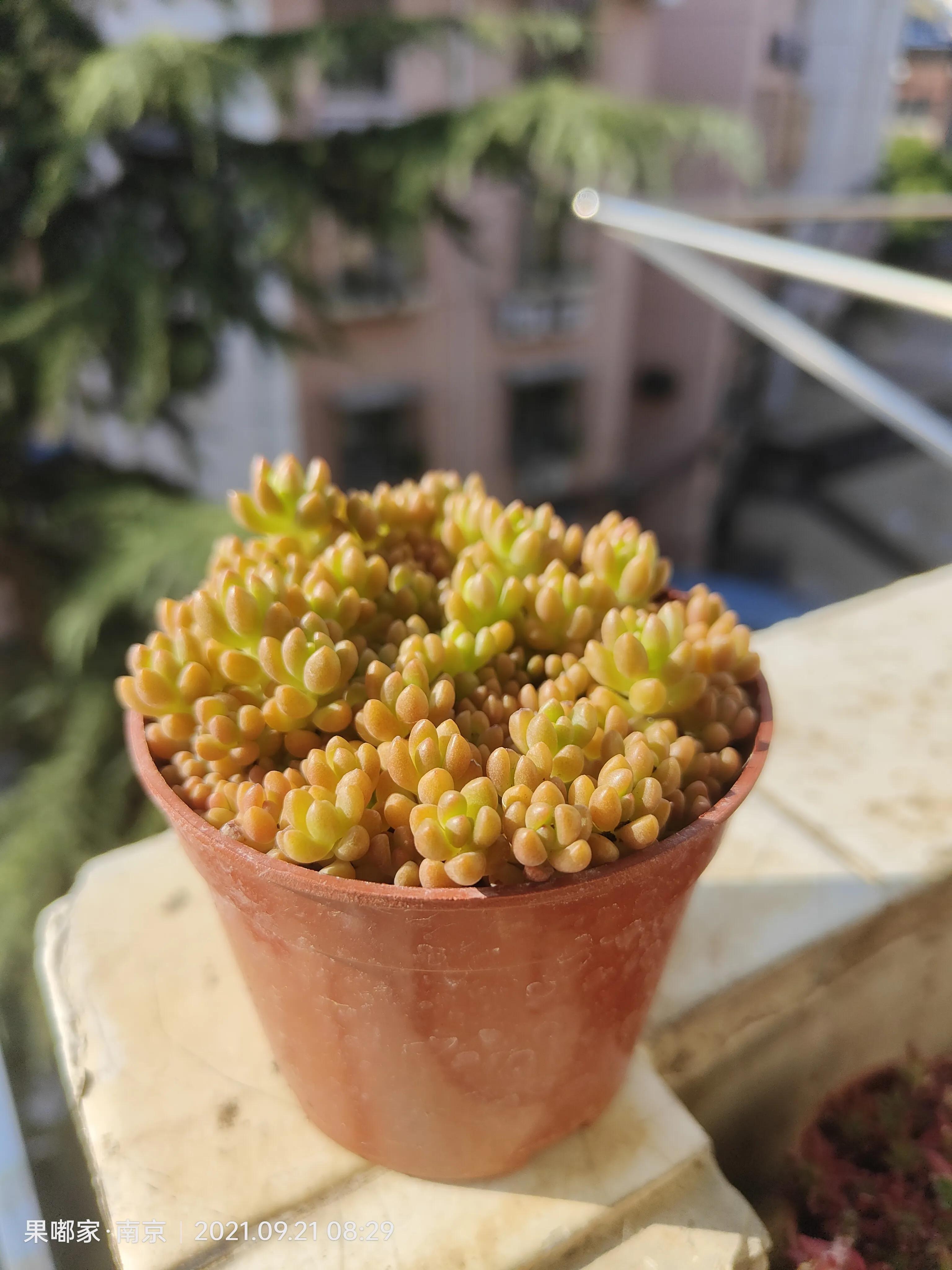 肉肉们比咱们想象中的坚强多了