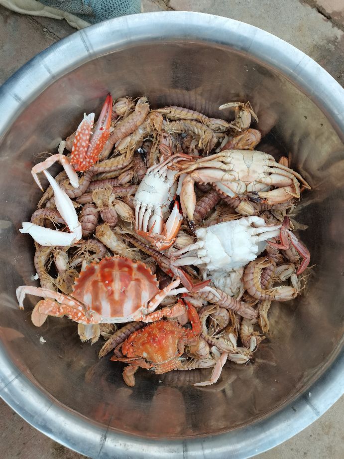 直播包网捕鱼真实性,深海包网捕鱼视频全集