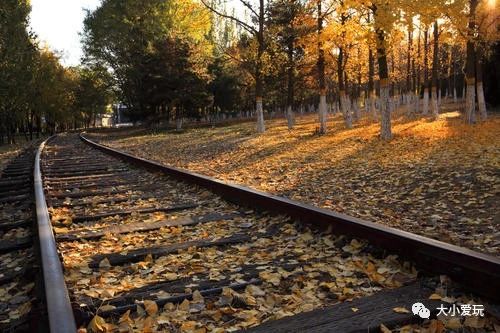 北京适合踏春旅游景点,北京春天看花的景点推荐
