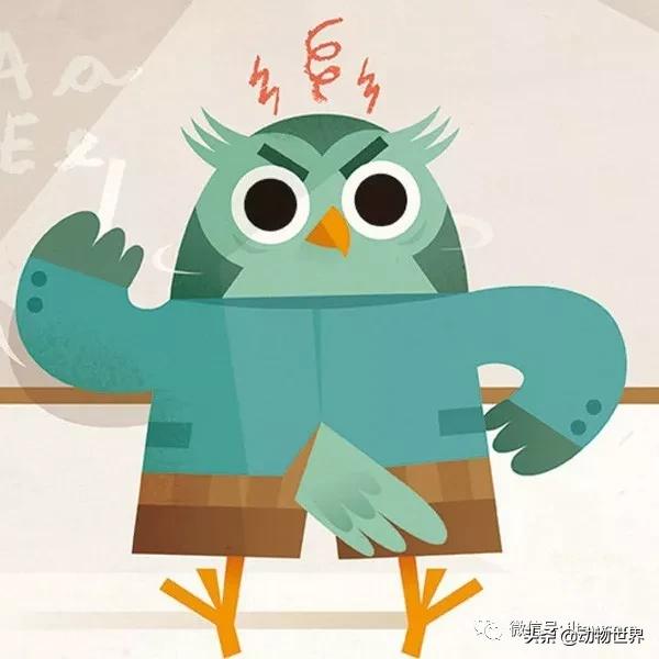 动物世界冷知识-乌贼进食首先要经过的脑部？