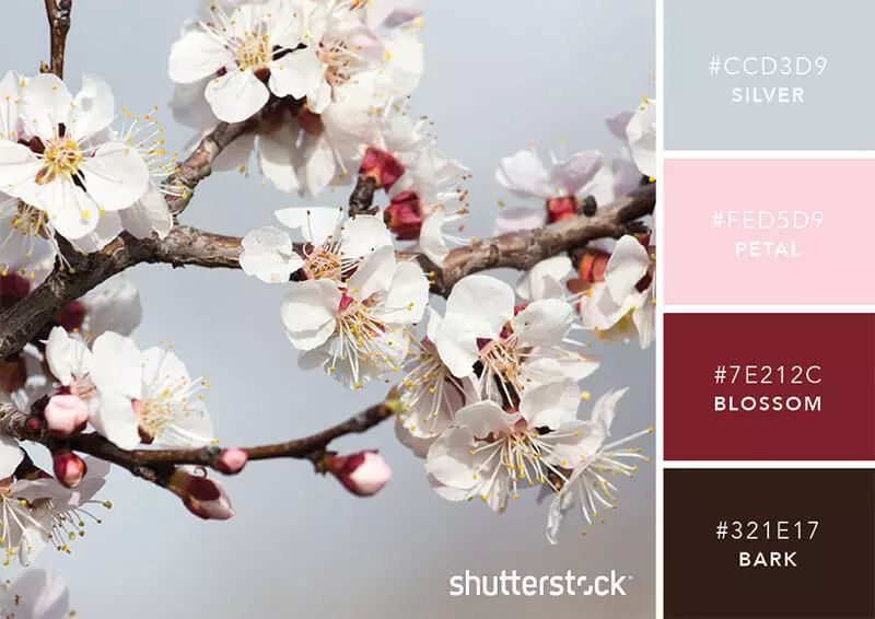 100个经典设计配色,设计师钟爱的9组高级感配色方案