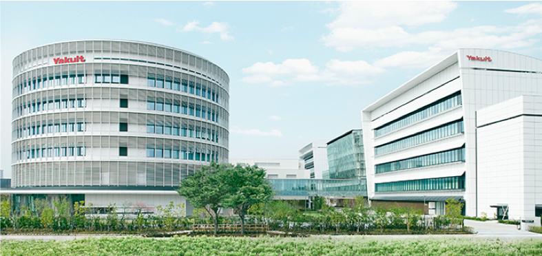 养乐多暗区护航,养乐多成功之道