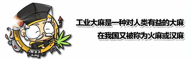 为什么美国媒体说中国是“*麻大**大国”？因为此“*麻大**”非彼*麻大**