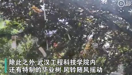 最有仪式感的毕业季礼物,那些让你感动到哭的毕业季