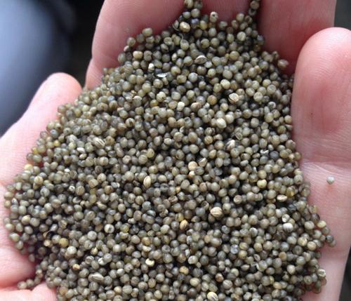 如何辨别小米黑解机,教你怎样辨别真假小米