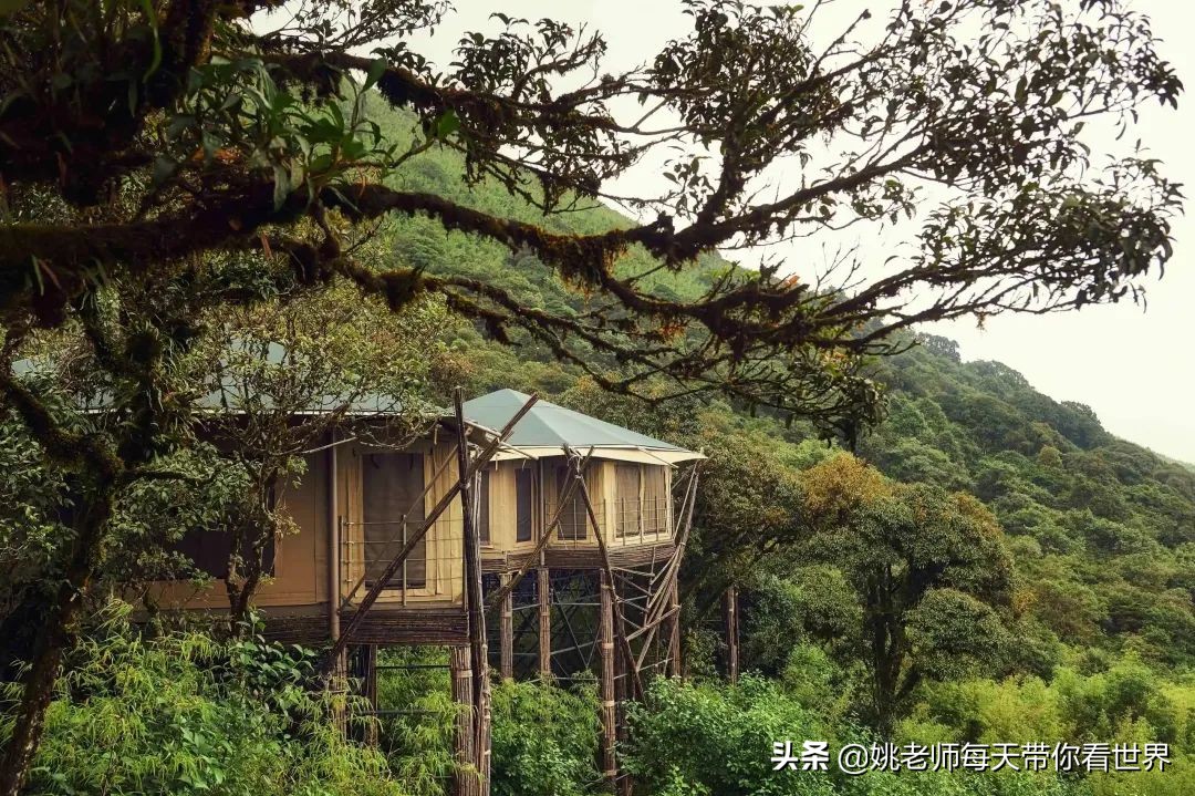 2月旅游灵感,旅游2月攻略最佳自由行