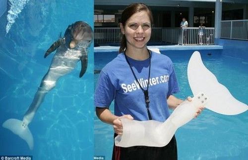 美国没手没脚的残疾人励志演讲,美国残疾人励志视频完整的