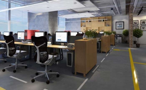 公司老鼠多怎么灭鼠,公司老鼠怎么彻底消灭