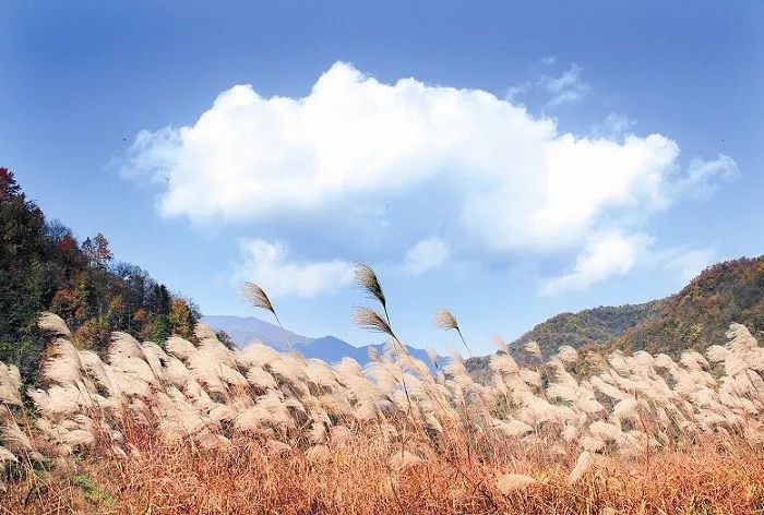 你心中的大山是什么,你心中的十堰是什么样的