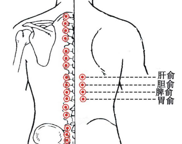 腹泻针灸哪里效果最好,胃下垂针灸最佳治疗方法