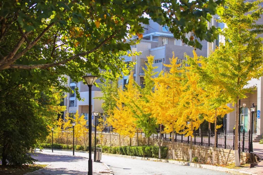 辽宁大连民办大学,大连辽宁二本大学