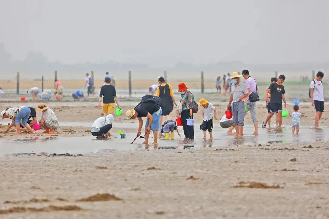 生活在日照是什么感觉,生活在日照就是幸福征文800字
