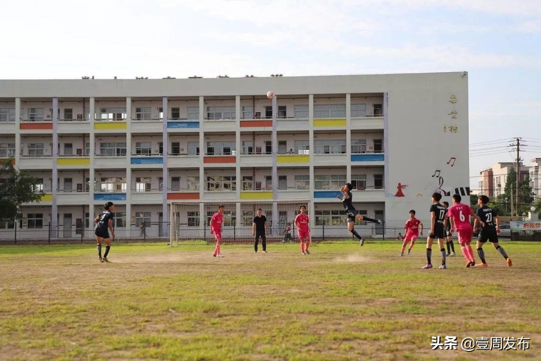 苍南县中等职业学校,苍南县职业中等专业学校开学时间